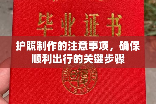南溪护照制作的注意事项，确保顺利出行的关键步骤